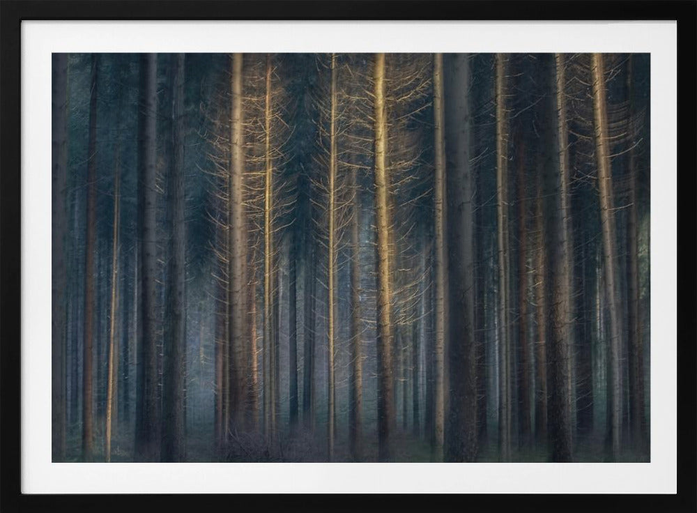 In the afternoon | Poster