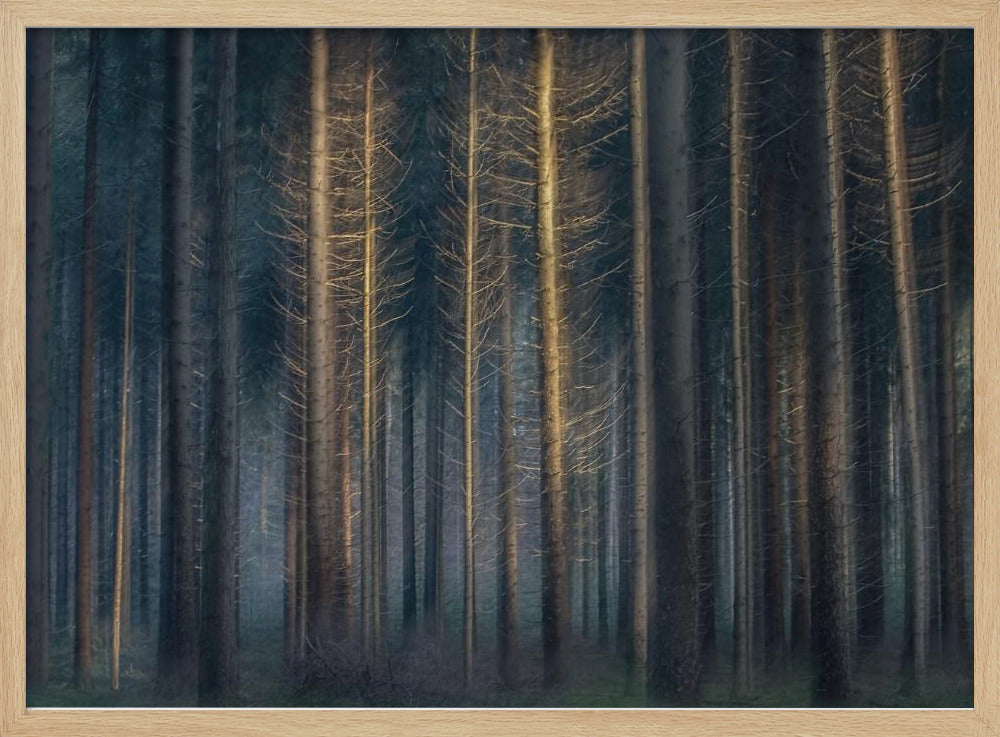 In the afternoon | Poster