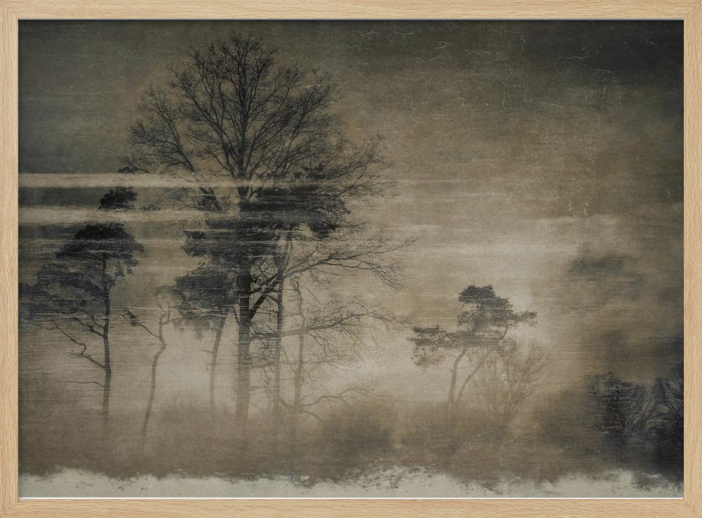 Old postcard | Poster