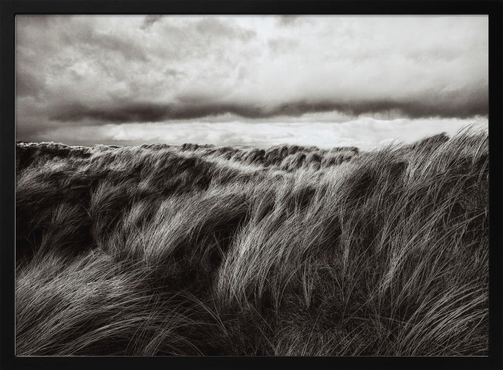 Dunes of grass | Poster