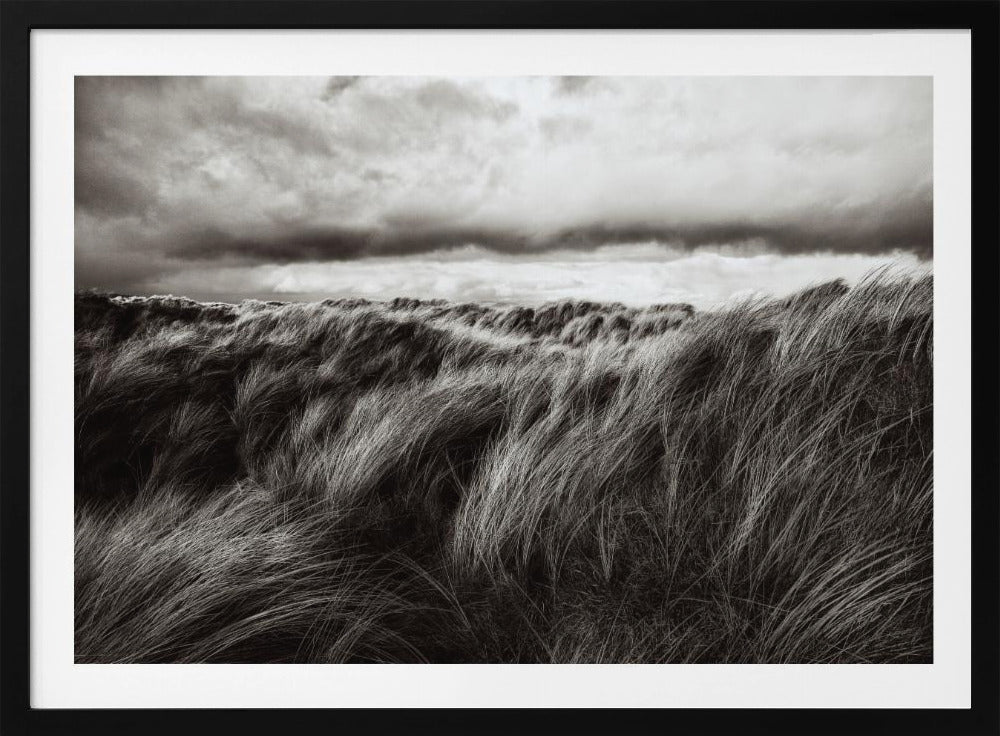 Dunes of grass | Poster