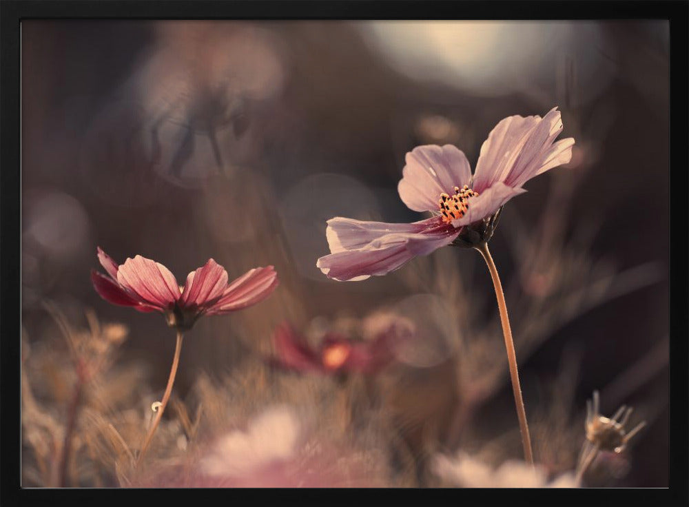 Flowers of innocence | Poster