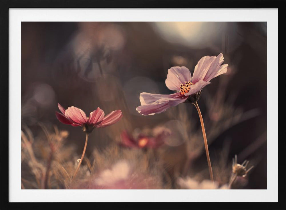 Flowers of innocence | Poster