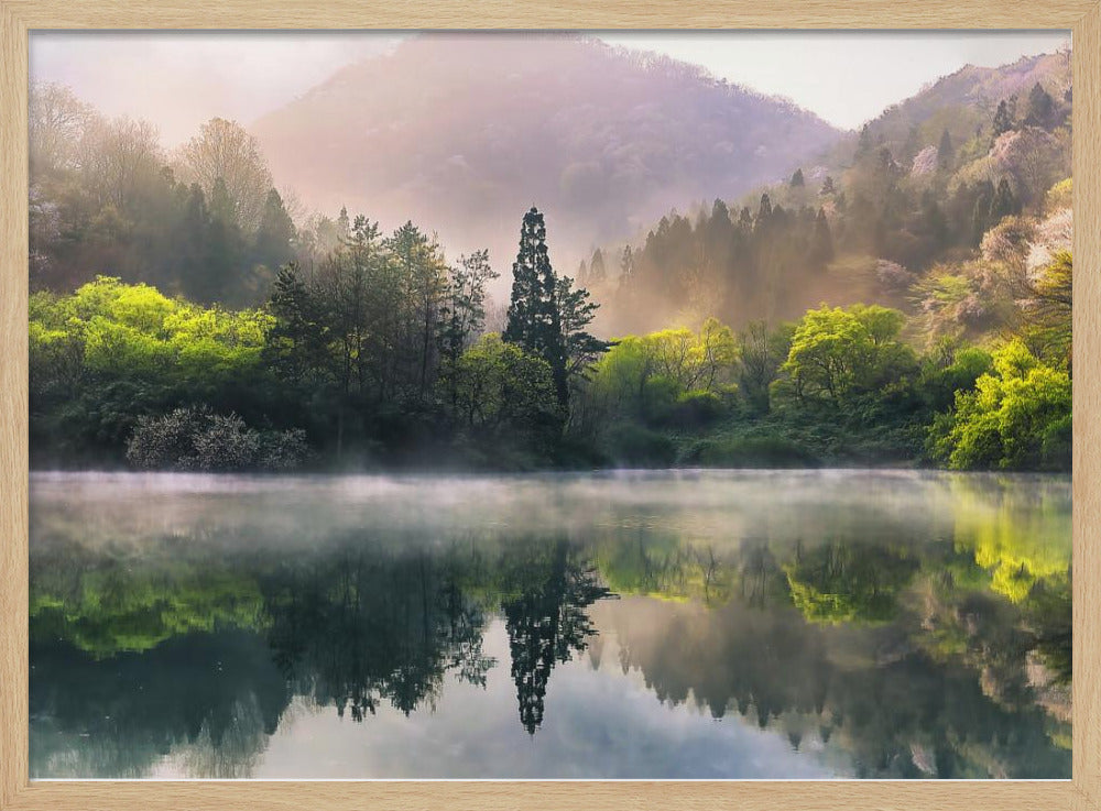 Morning calm | Poster