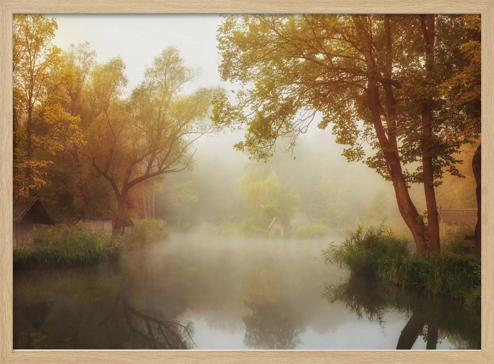 Foggy Autumn | Poster