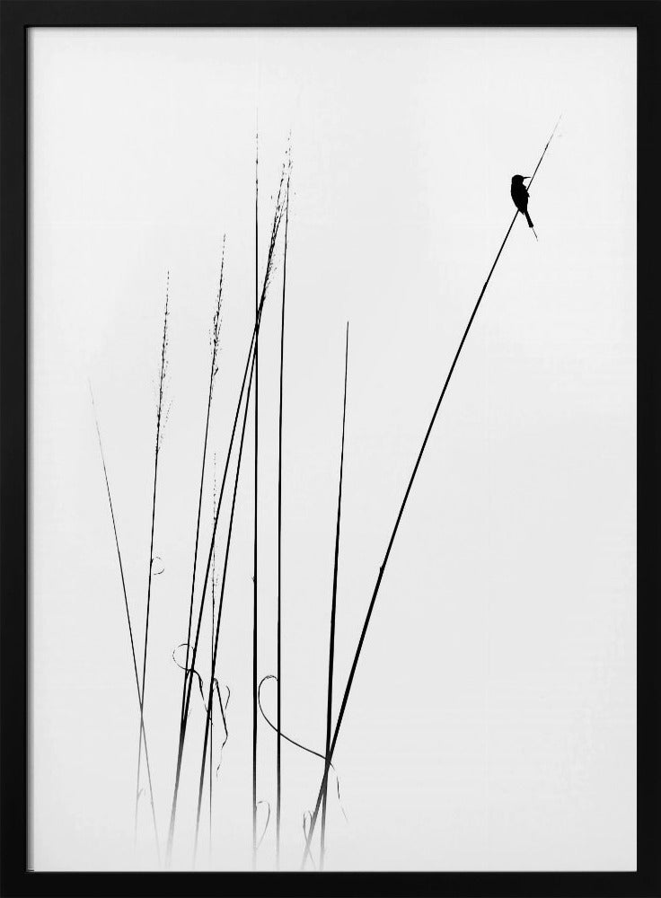 a sabbatical | Poster