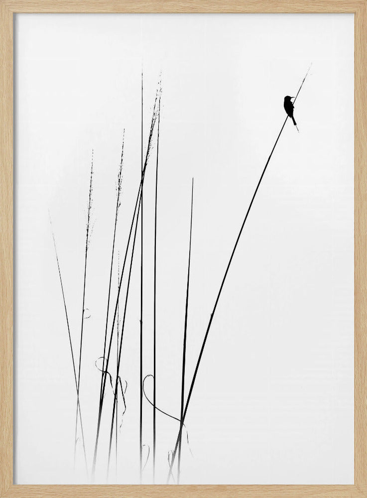 a sabbatical | Poster