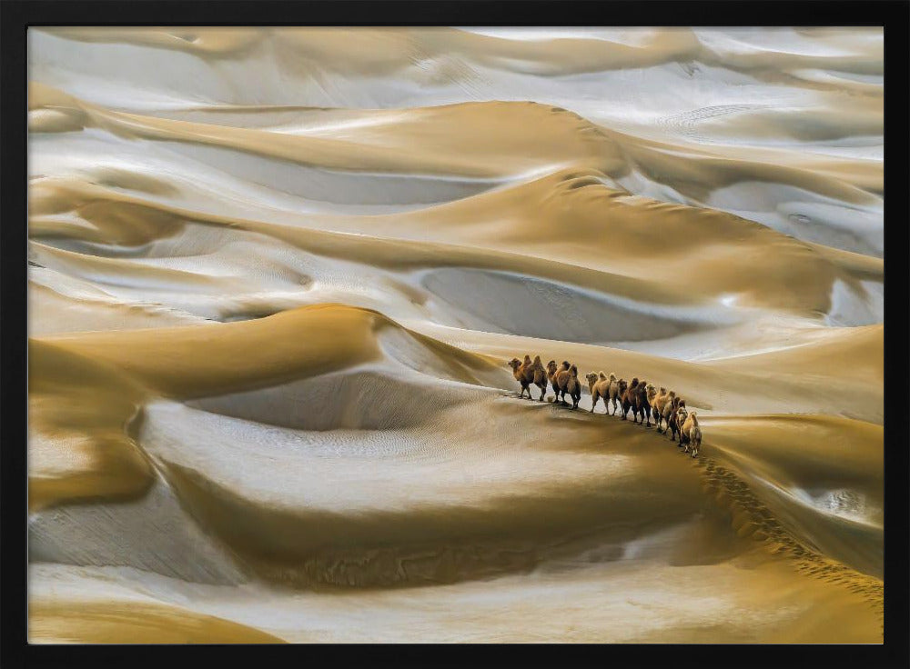 Desert Winter | Poster