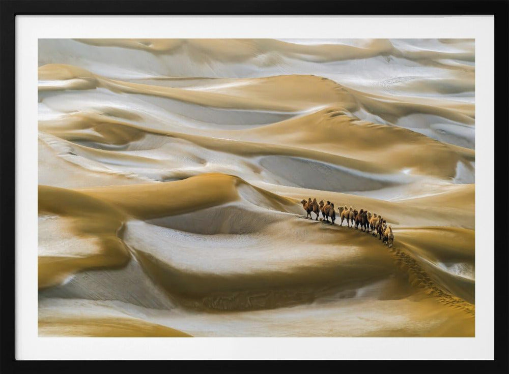 Desert Winter | Poster