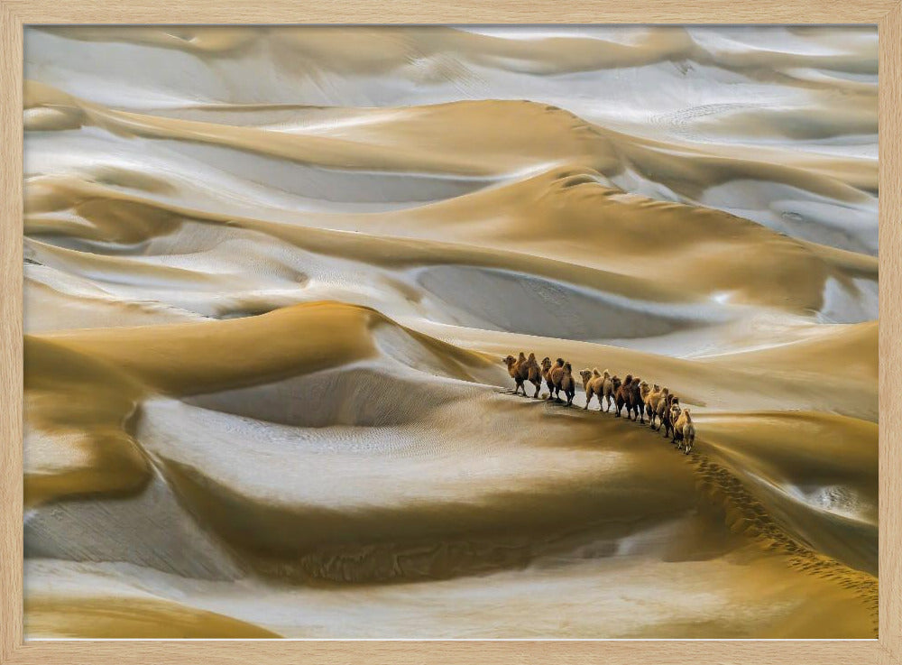 Desert Winter | Poster