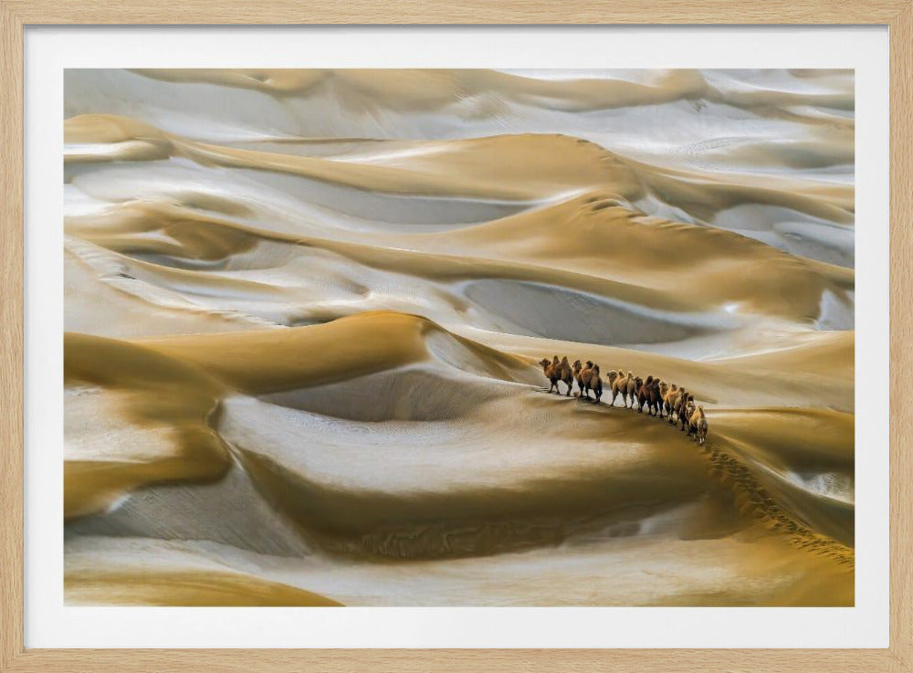 Desert Winter | Poster