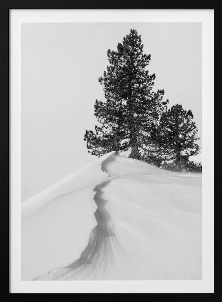 About the snow and forms | Poster