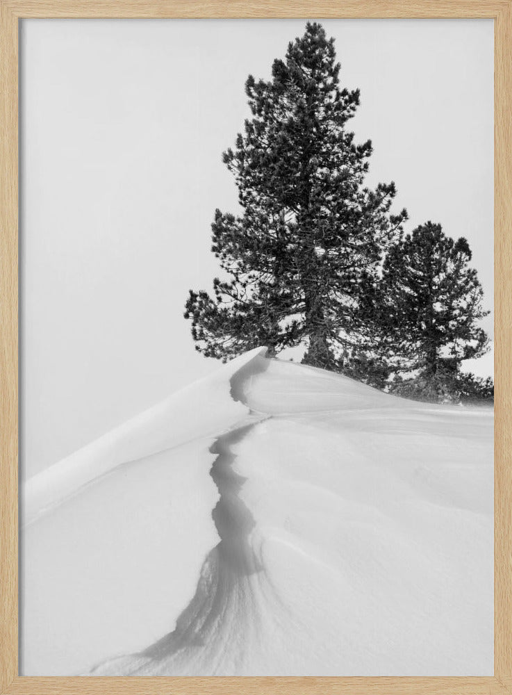 About the snow and forms | Poster