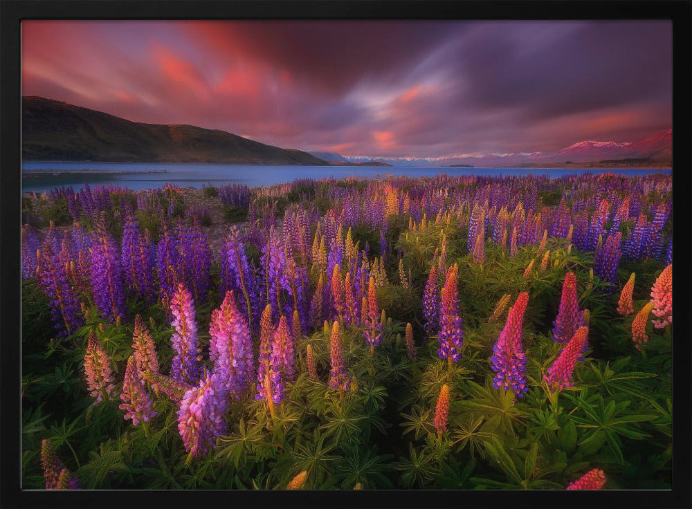 Springtime Rush | Poster