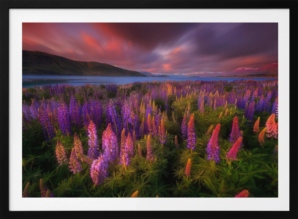 Springtime Rush | Poster