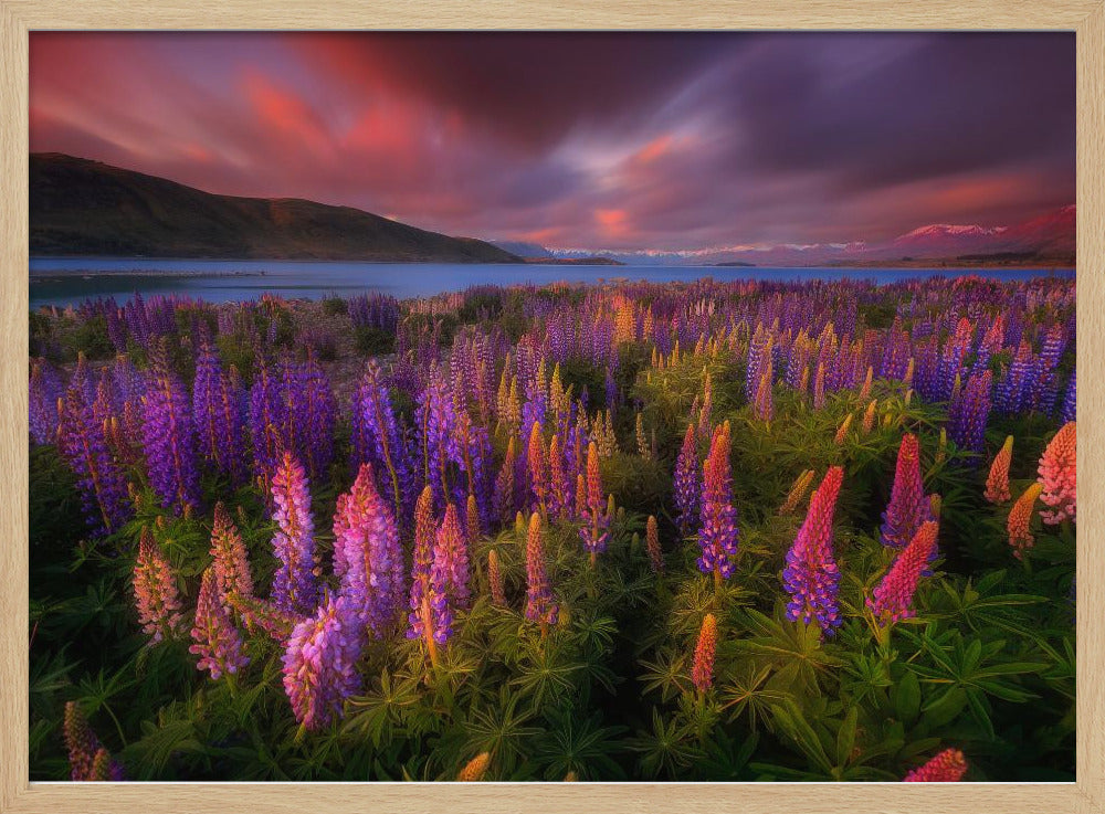 Springtime Rush | Poster