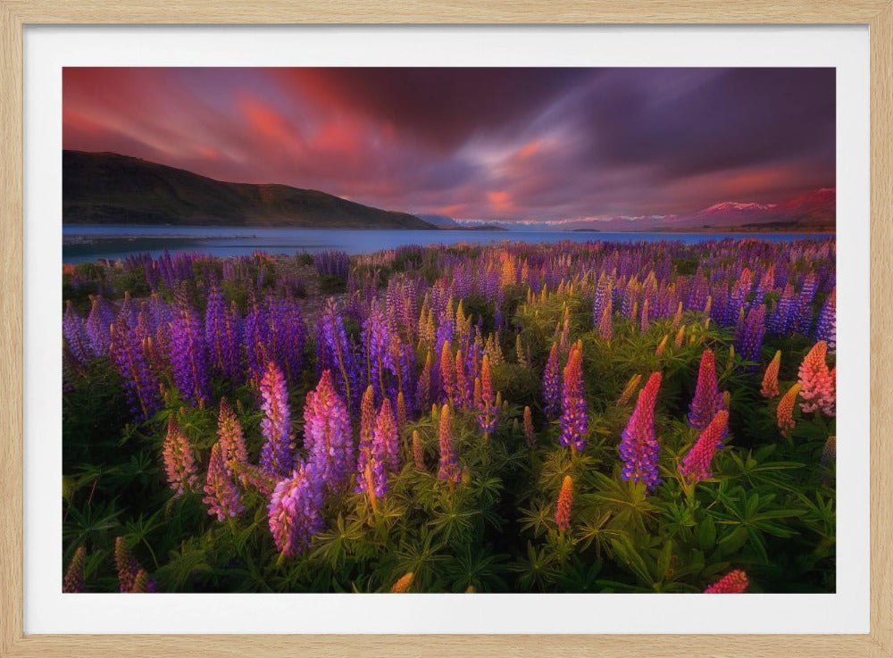 Springtime Rush | Poster