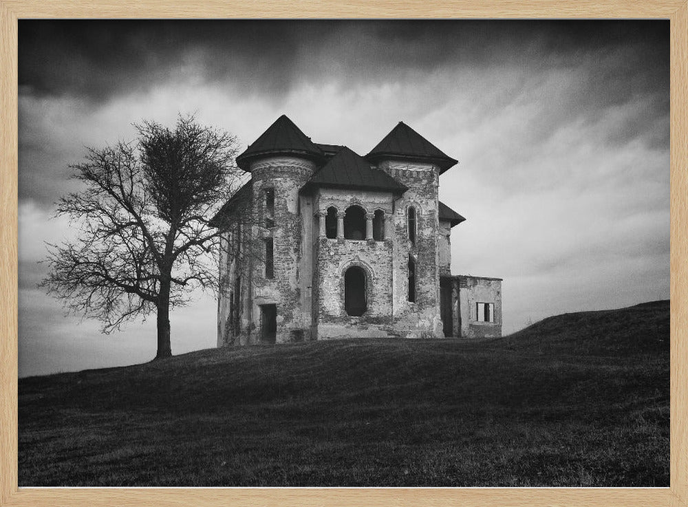 Rosianu mansion | Poster