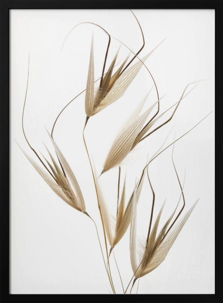 Delicacy of nature | Poster