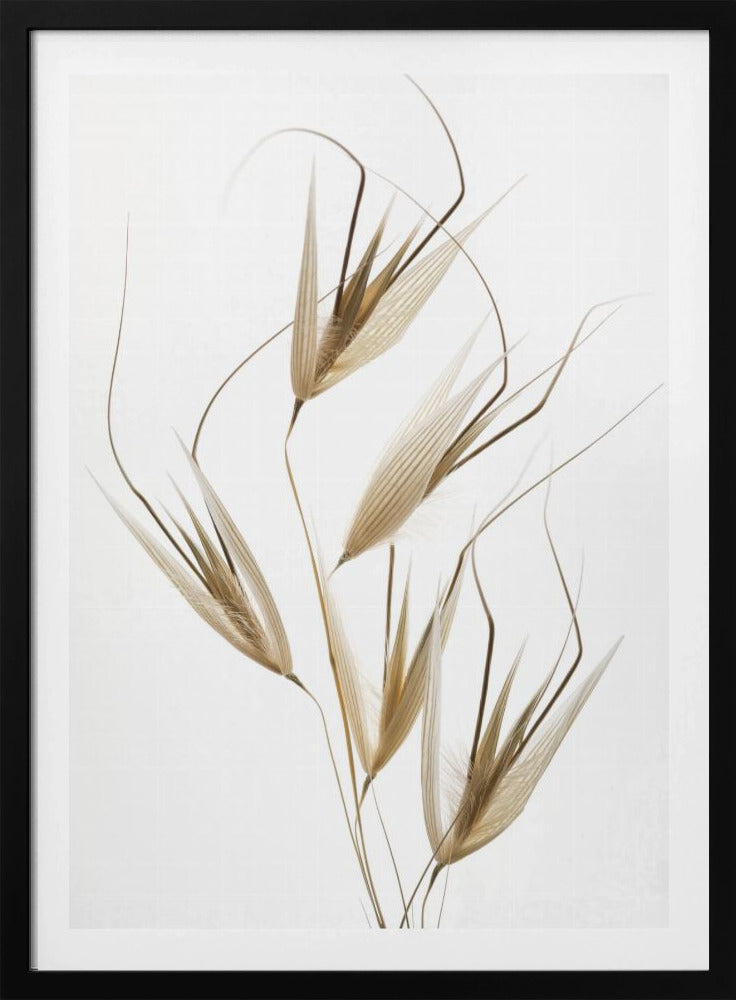 Delicacy of nature | Poster