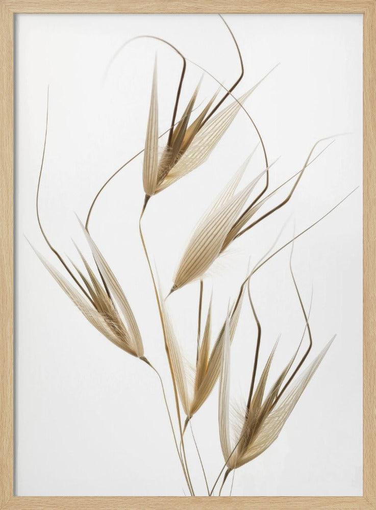 Delicacy of nature | Poster