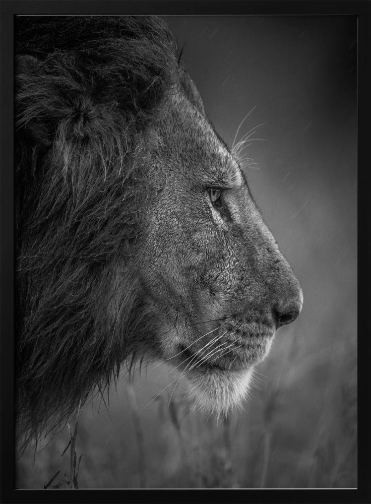 Thinking Under The Rain | Poster