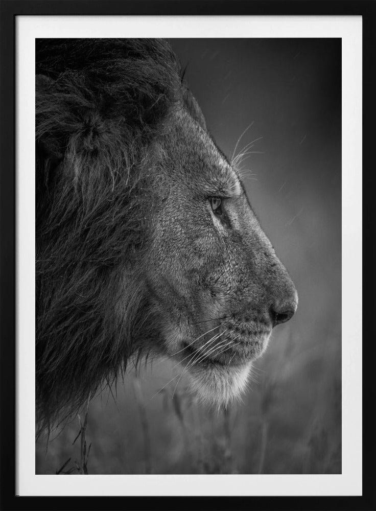 Thinking Under The Rain | Poster