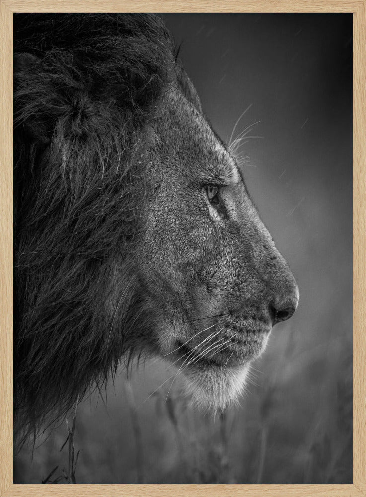 Thinking Under The Rain | Poster