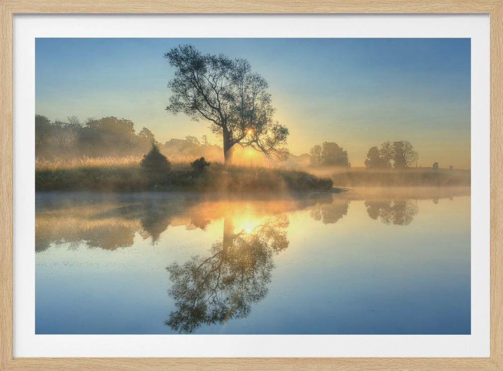 Morning reflection | Poster