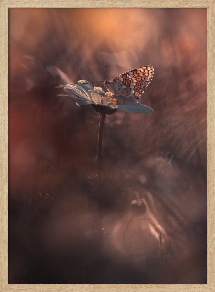 Pyrotechnics | Poster