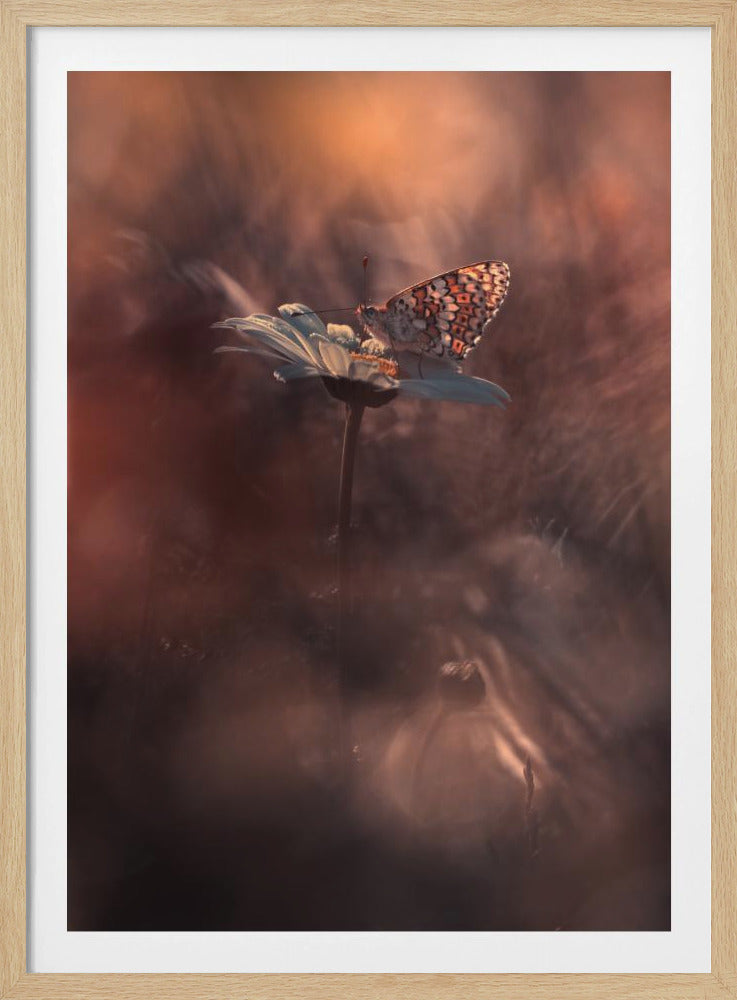 Pyrotechnics | Poster