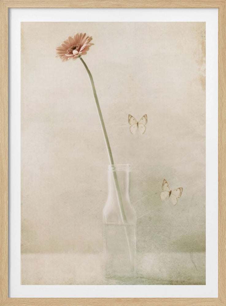 Miss Daisy | Poster