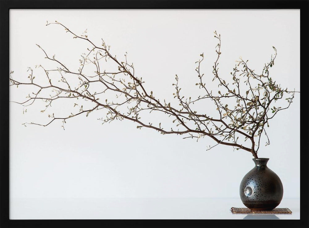 Vase And Branch | Poster