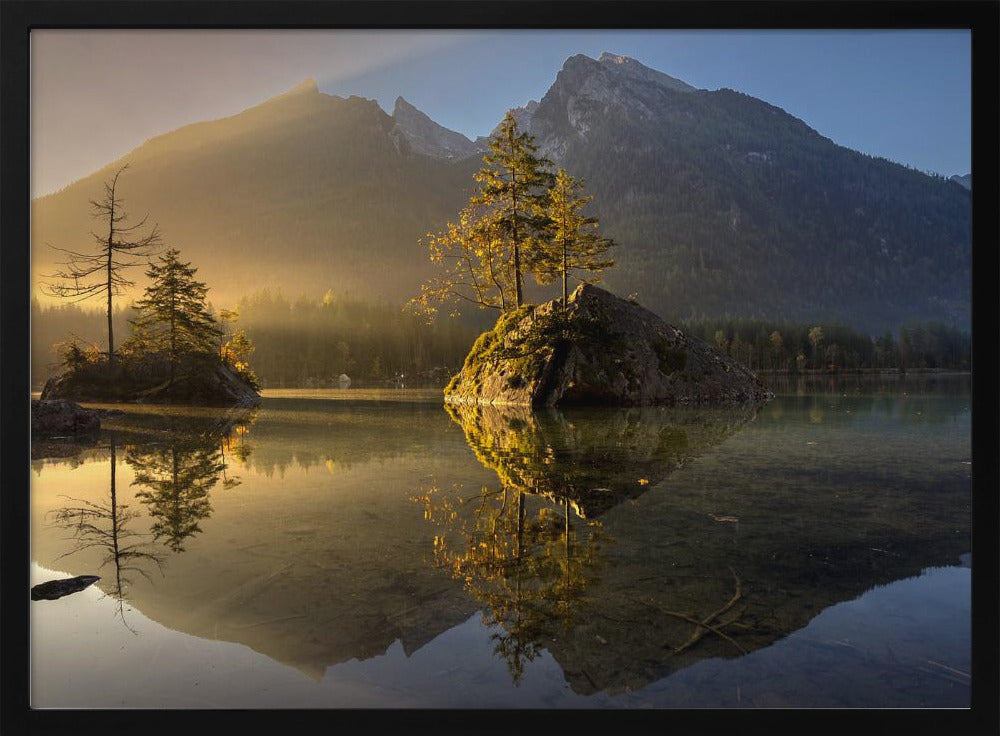 Golden Morning | Poster