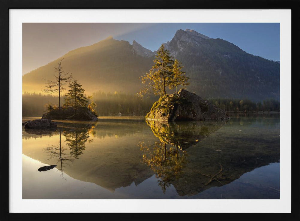 Golden Morning | Poster