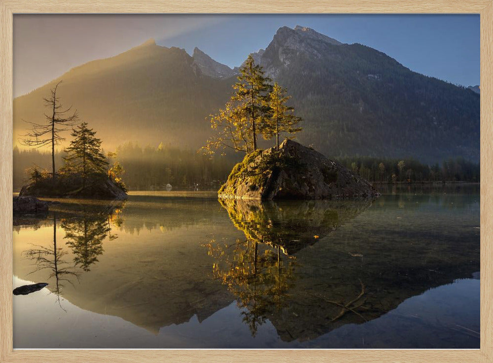 Golden Morning | Poster