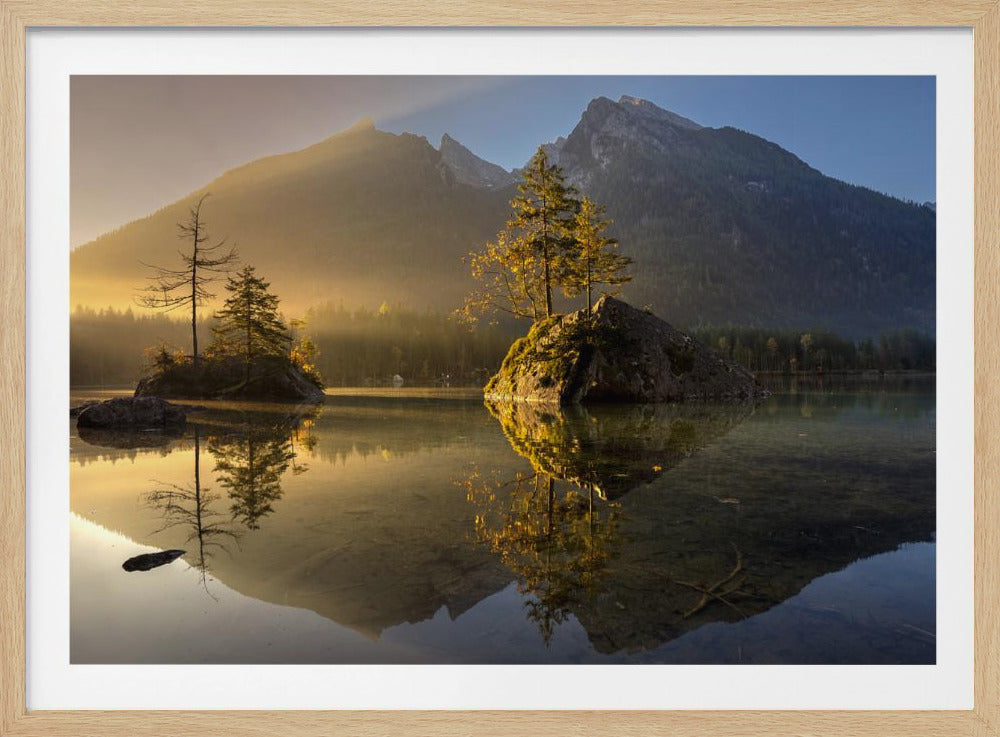 Golden Morning | Poster