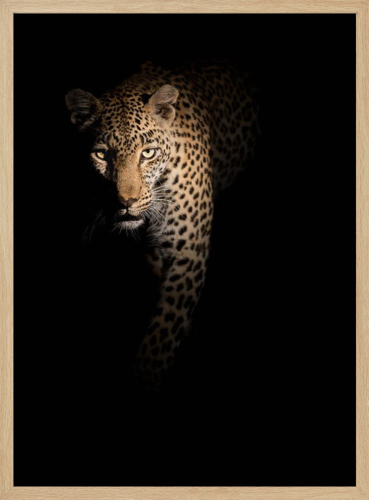 Out of the darkness | Poster