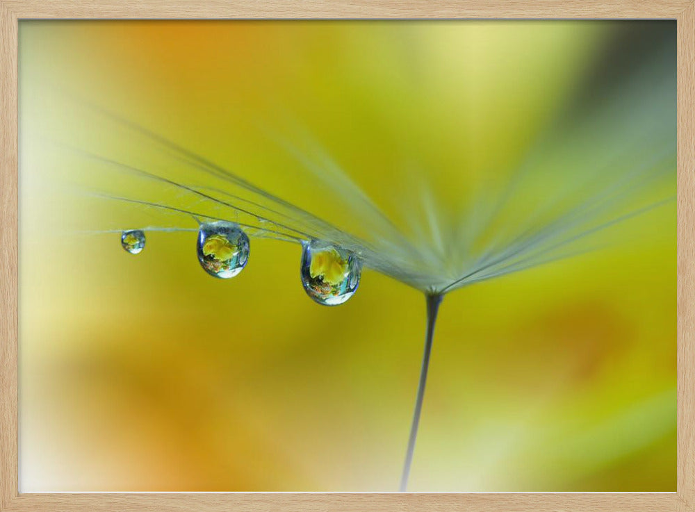 SunBeam...III | Poster