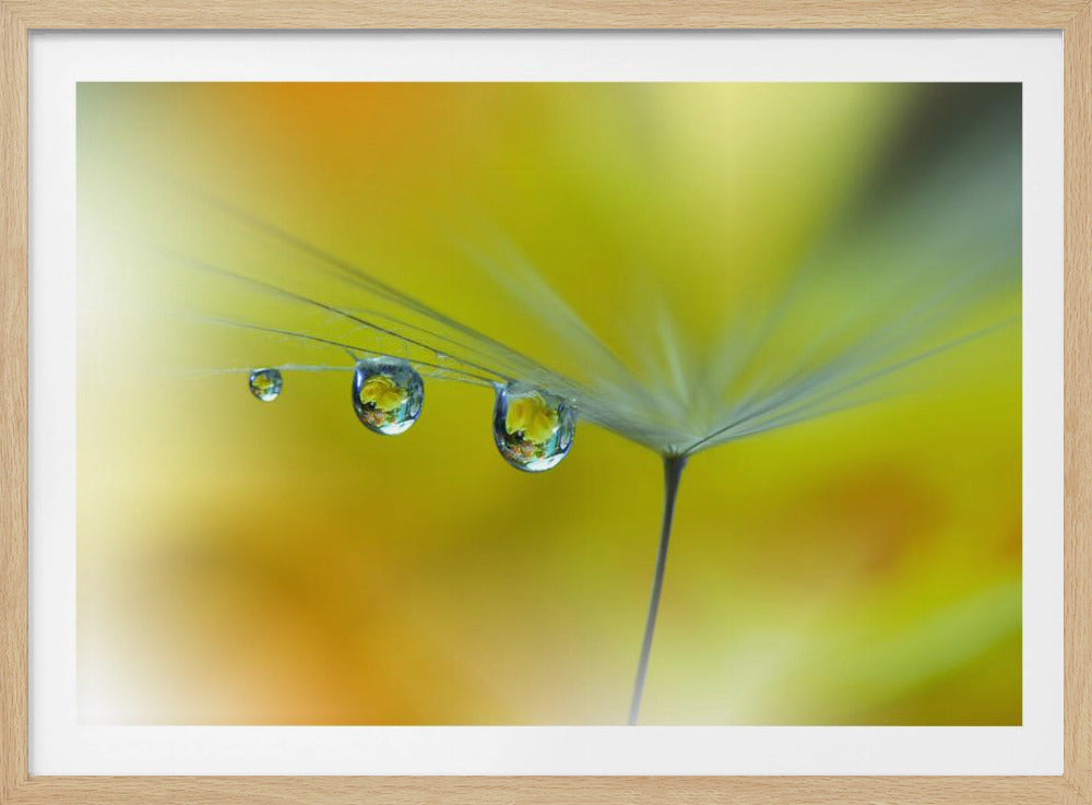 SunBeam...III | Poster