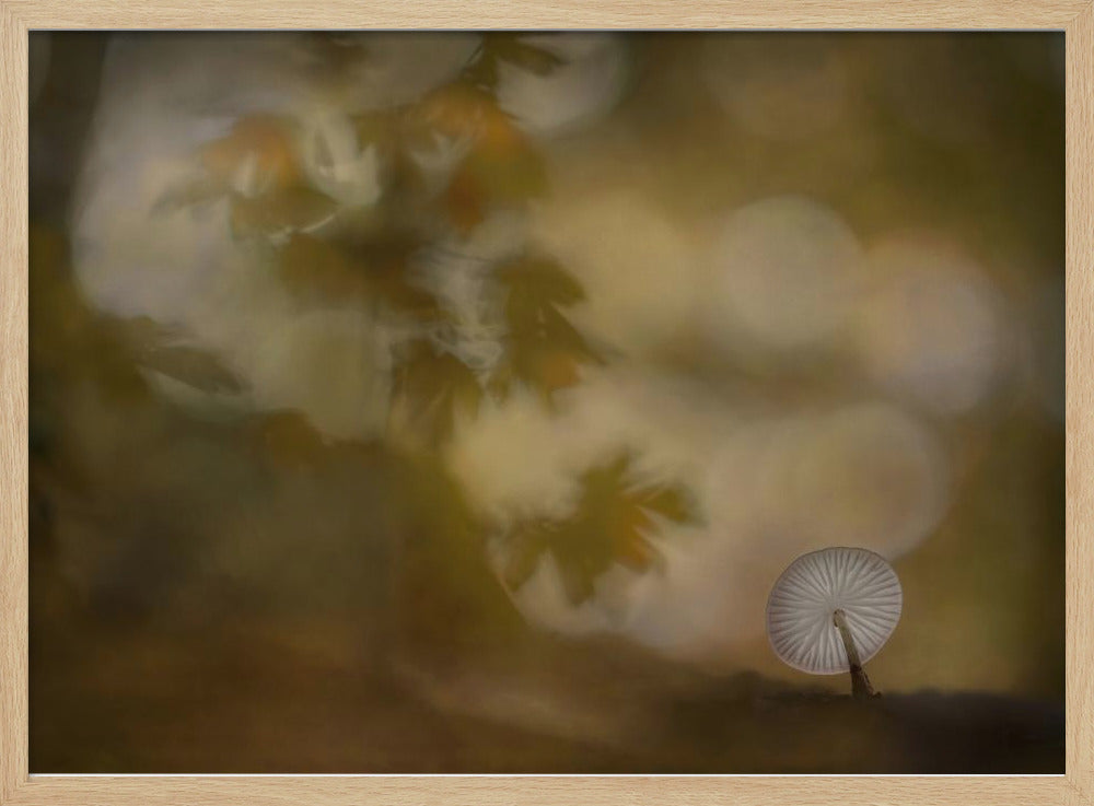 Autumn atmosphere | Poster