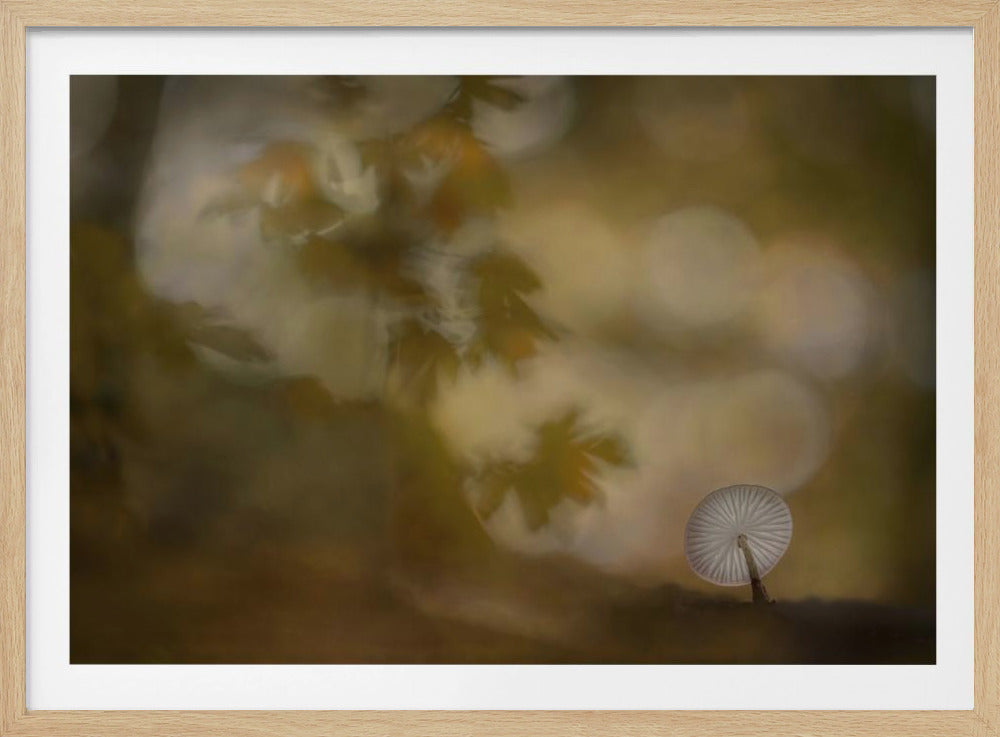 Autumn atmosphere | Poster