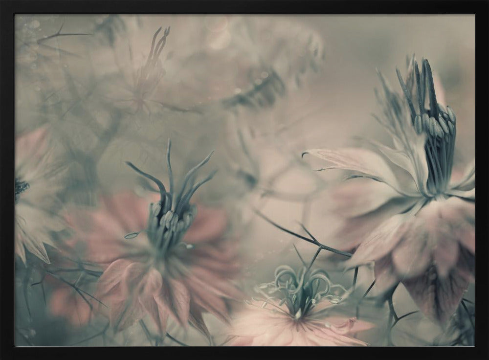 The virgins ll | Poster