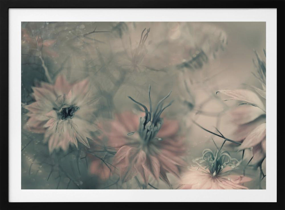 The virgins ll | Poster