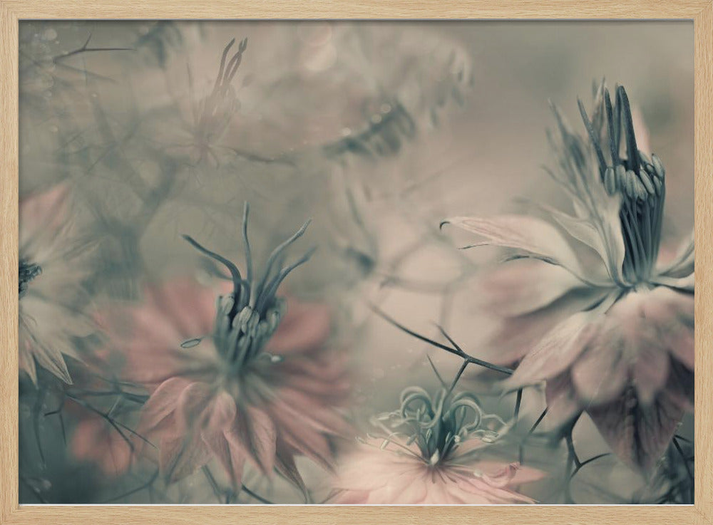 The virgins ll | Poster