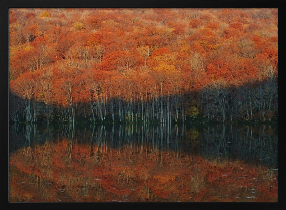 shadow fade away | Poster