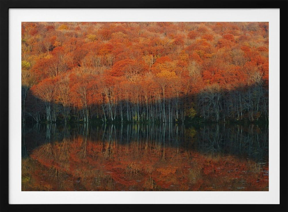 shadow fade away | Poster