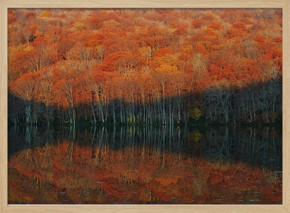 shadow fade away | Poster