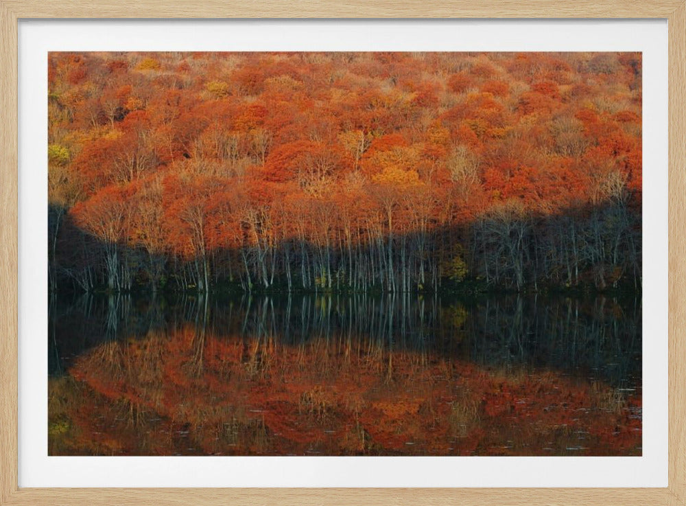 shadow fade away | Poster