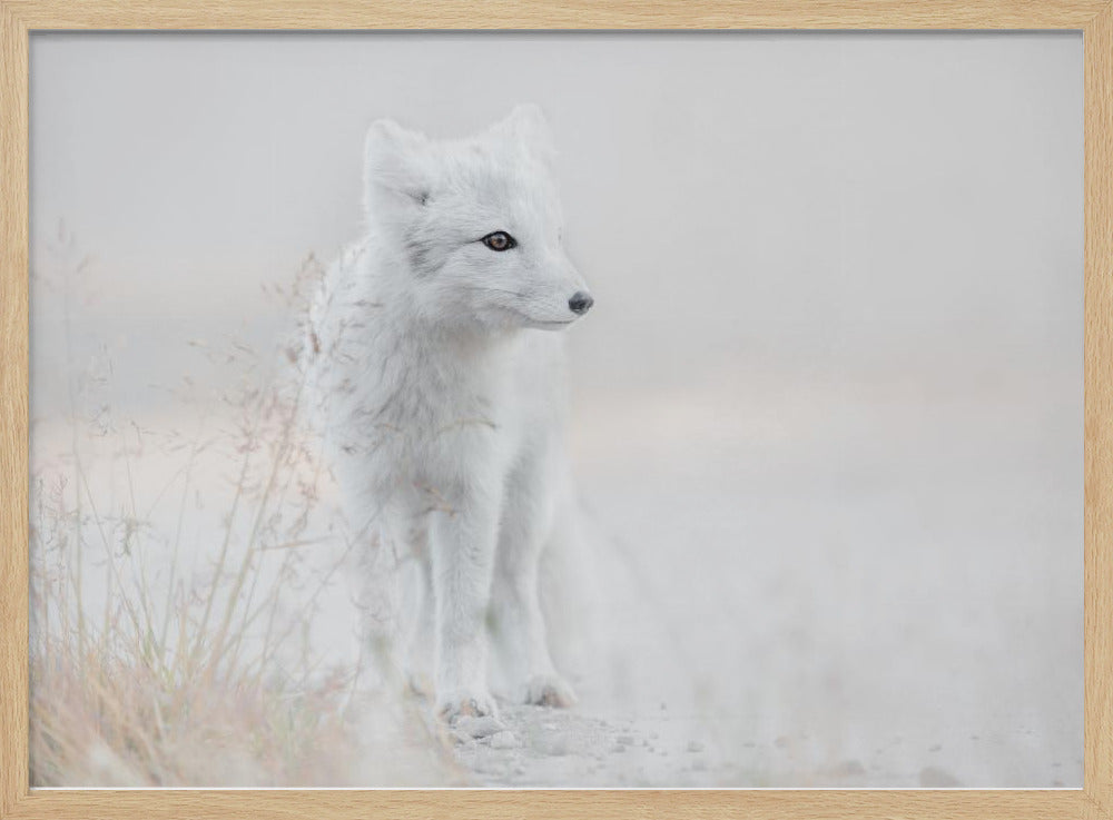 Looking around | Poster